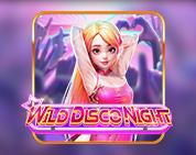 Wild Disco Night